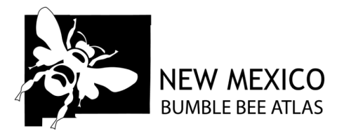 New Mexico Bumble Bee Atlas Learning Hub
